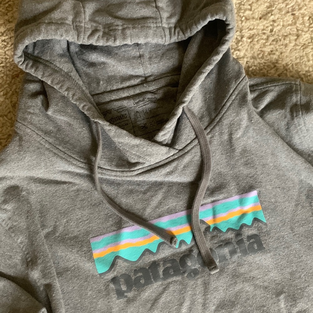 Patagonia hoodie / hooded sweatshirt